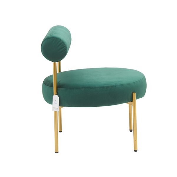 Modern Velvet Fabric Leather Upholstery Metal Leisure Chair-2